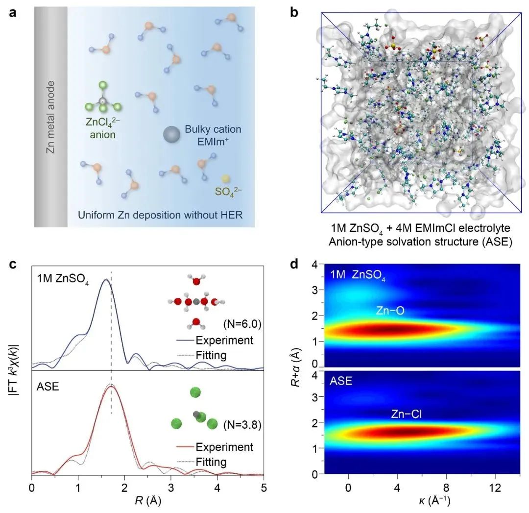 科技】南开大学陈军教授Angew：新型电解液循环可充高稳定锌负极