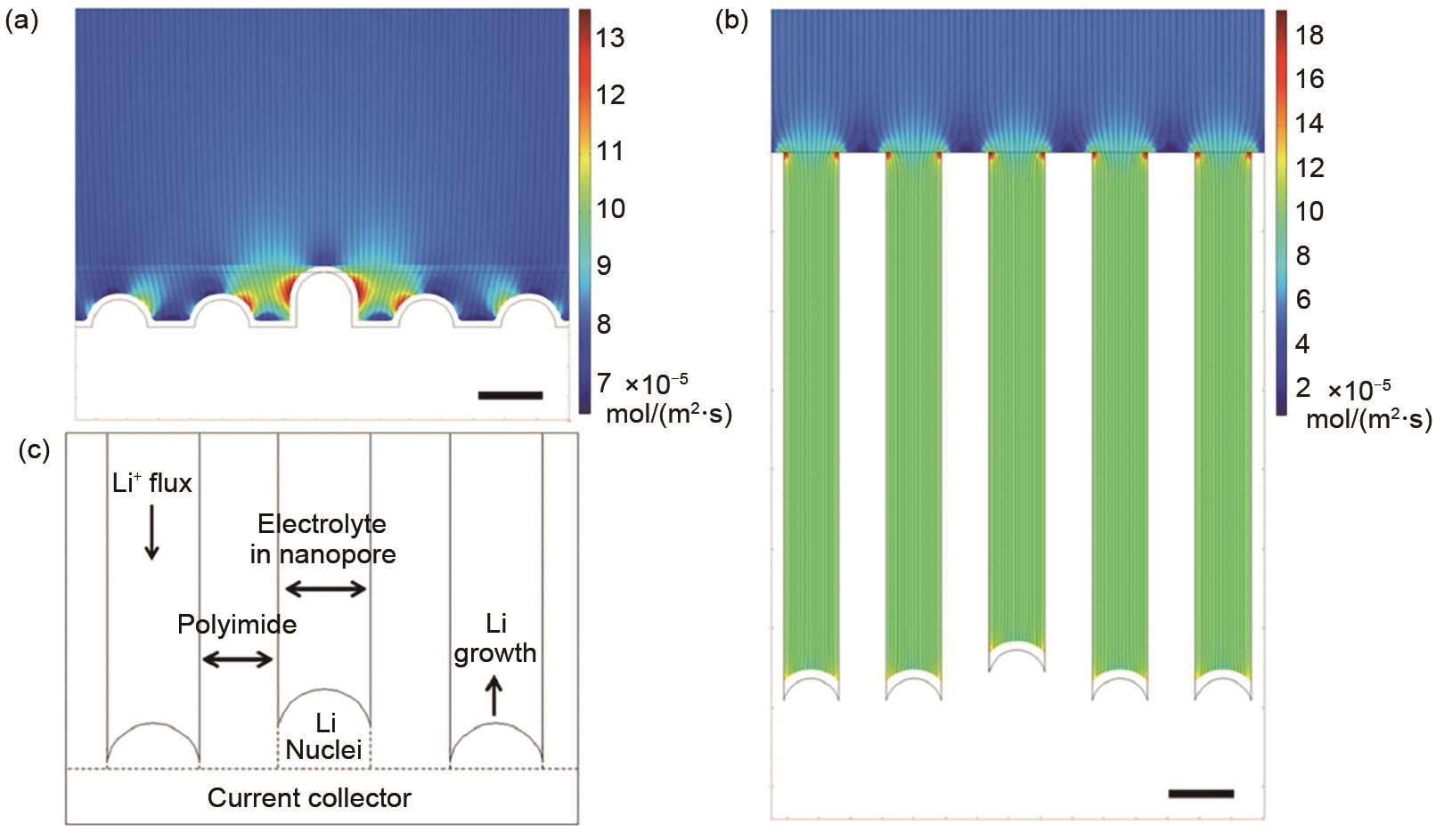 Artificial Interphases for Highly Stable Lithium Metal Anode